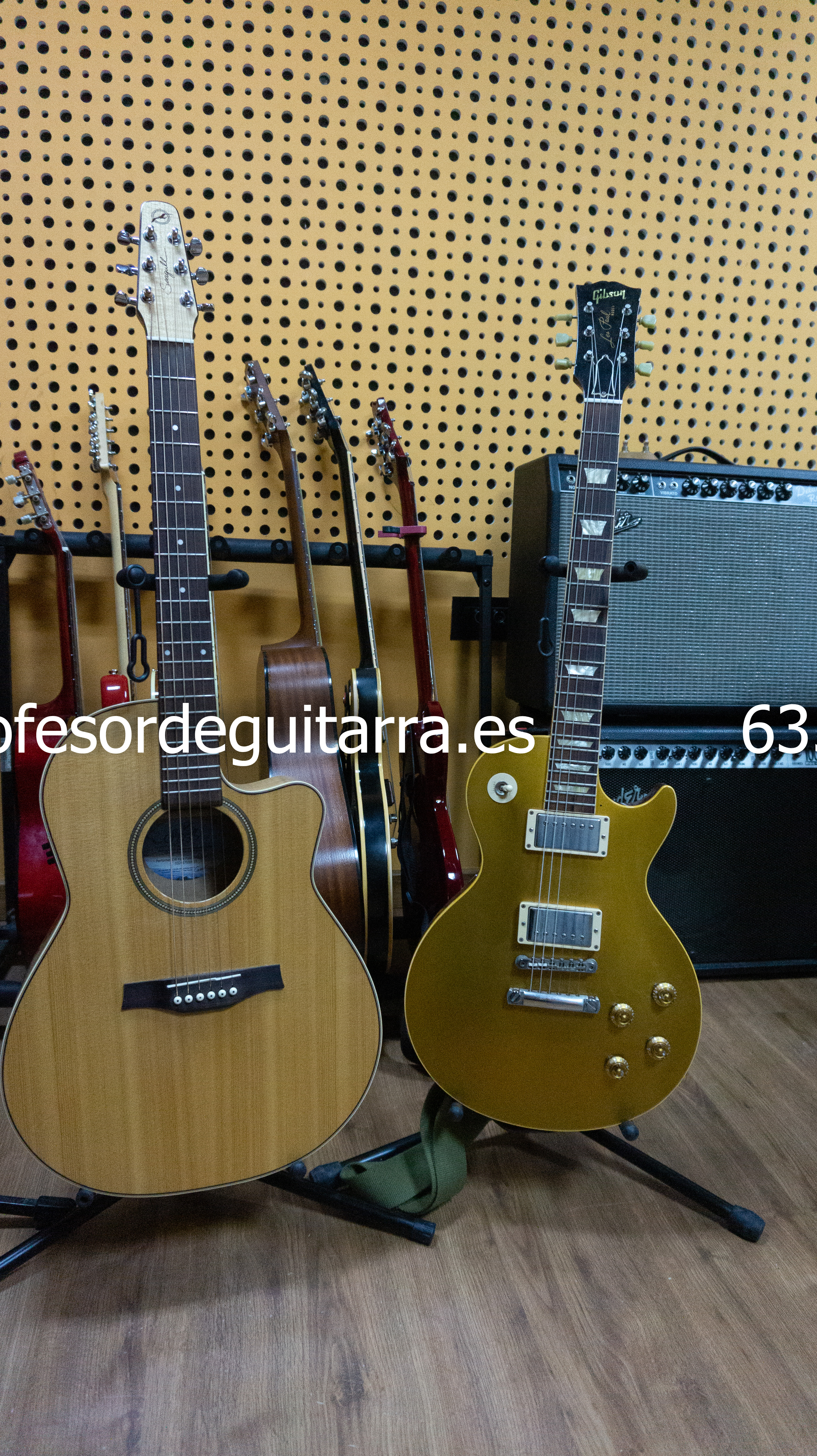 Estilos de guitarra musical Martin